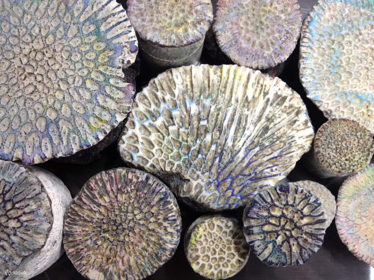 Okinawas einzigartiges Korallenfärbe-Erlebnis | In der Nähe der Burg Shuri